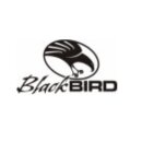 BlackBird