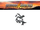German Kinetics SilverFlame Torx-Screws M 2,5x5 10-pack